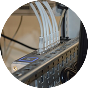 LAN cables and a network switcher representing Sakura Mobile Japan fiber internet support services.