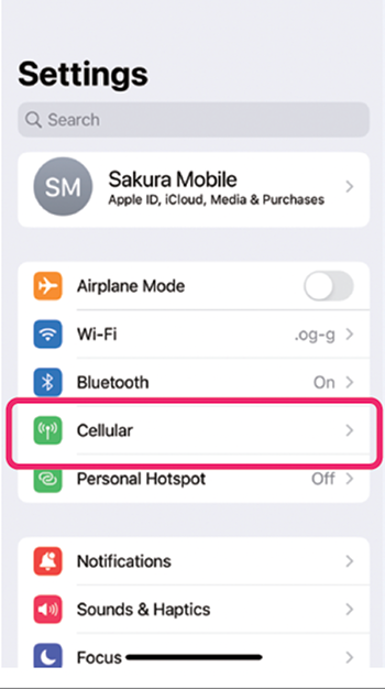 iPhone Settings screen with 'Cellular' option selected to begin Sakura eSIM setup.