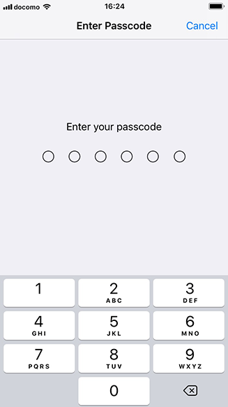 iPhone prompt requesting device passcode before installing Sakura Mobile APN.