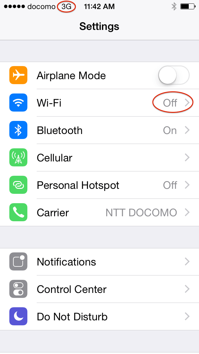 iPhone 3G indicator active and WiFi turned off after APN setup.