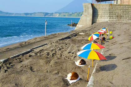 Ibusuki Onsen (指宿温泉)